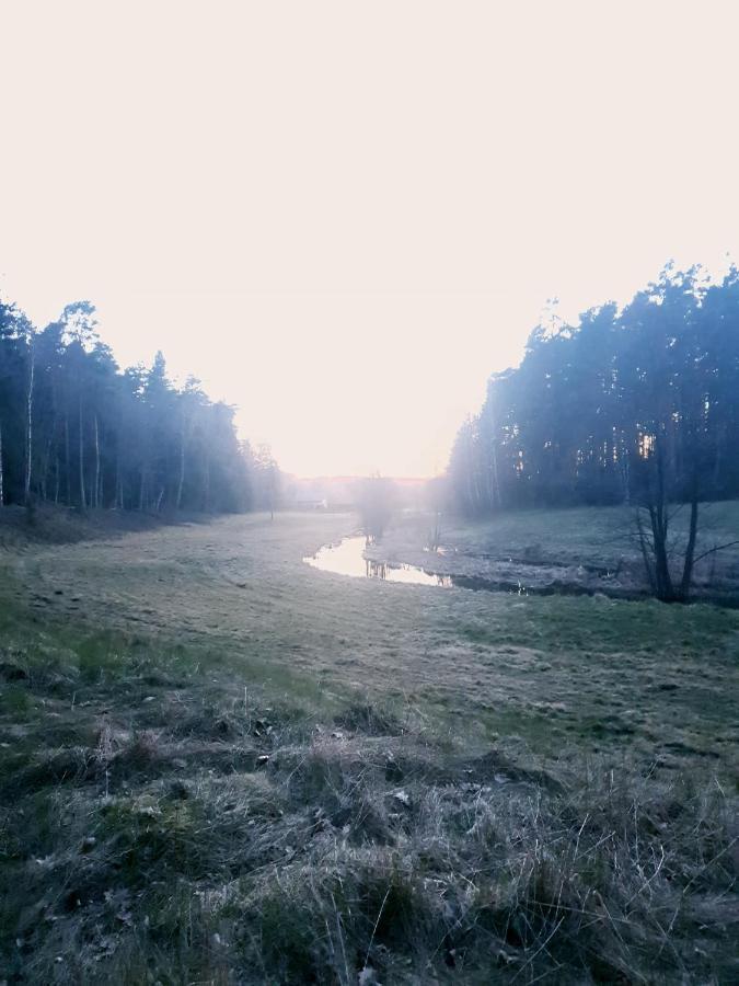 Stara Lesniczowka *