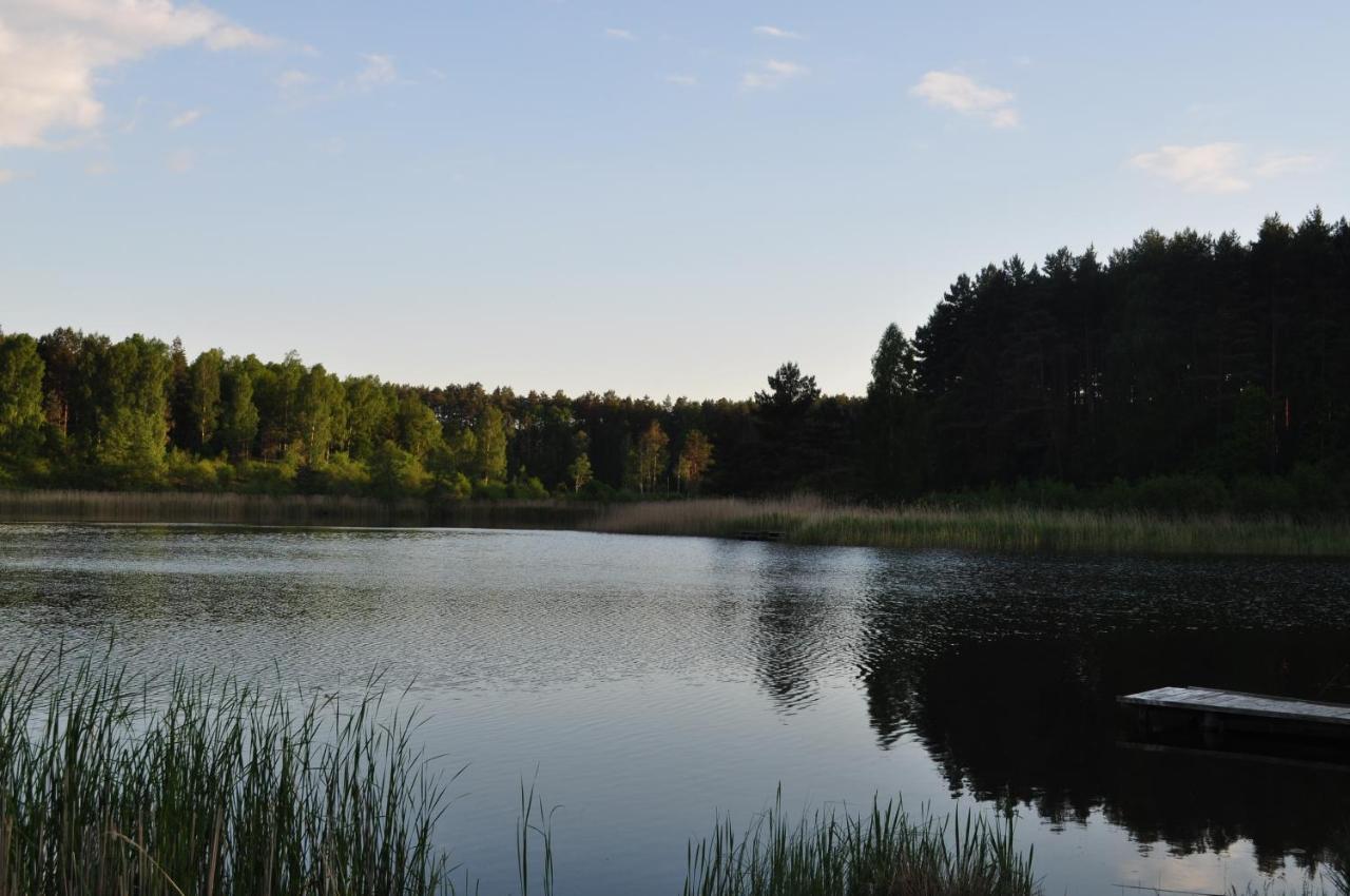 Stara Lesniczowka Apartment *